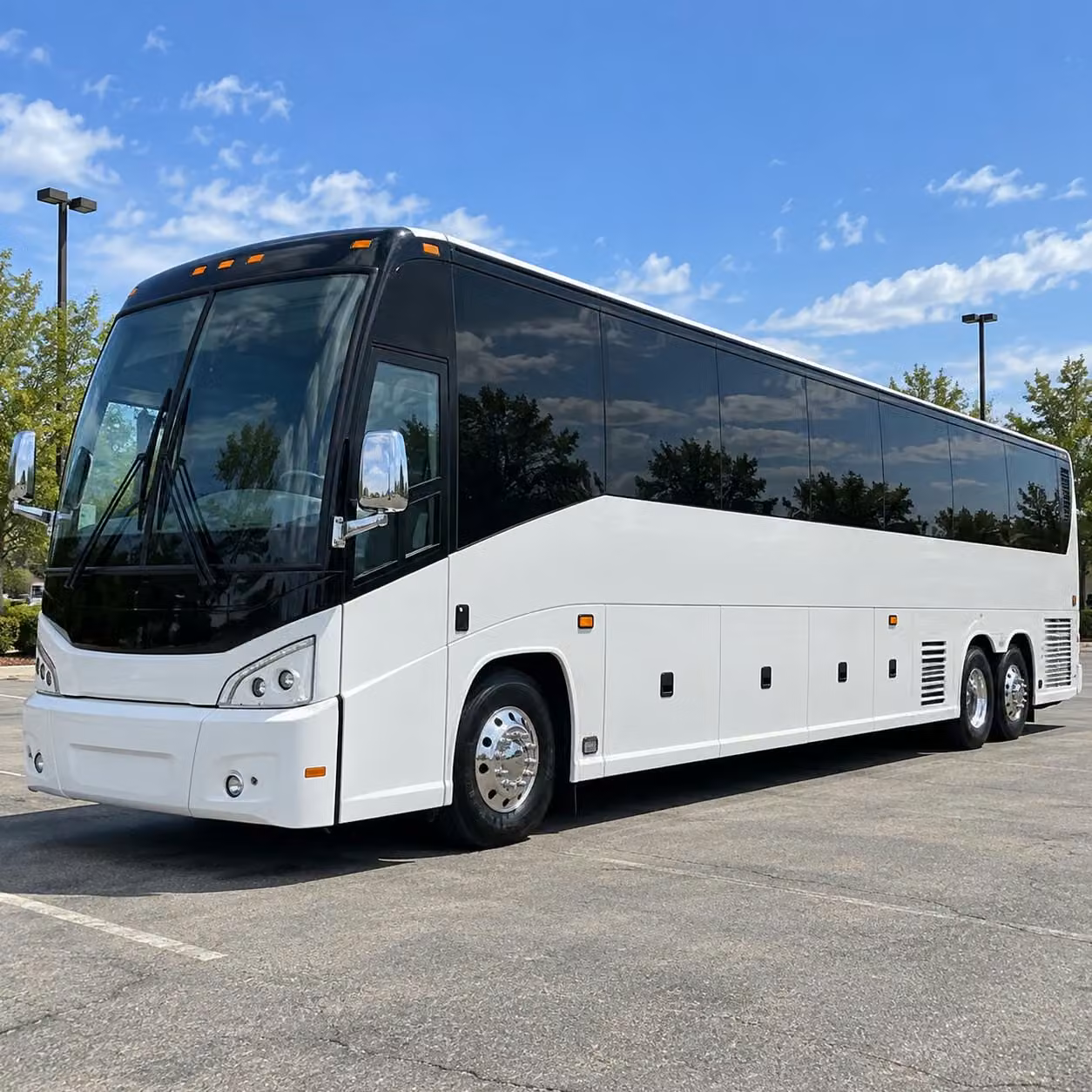 book new haven prom transportation early availability goes fast